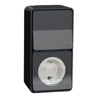 Schneider Mureva Styl - Enchufe 2P+T + Conmutador - Superficie - IP55 - Gris MUR36024