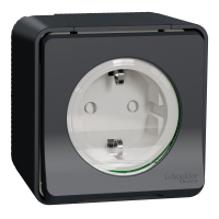 Schneider Mureva Styl Enchufe de superficie IP55 Gris MUR36731
