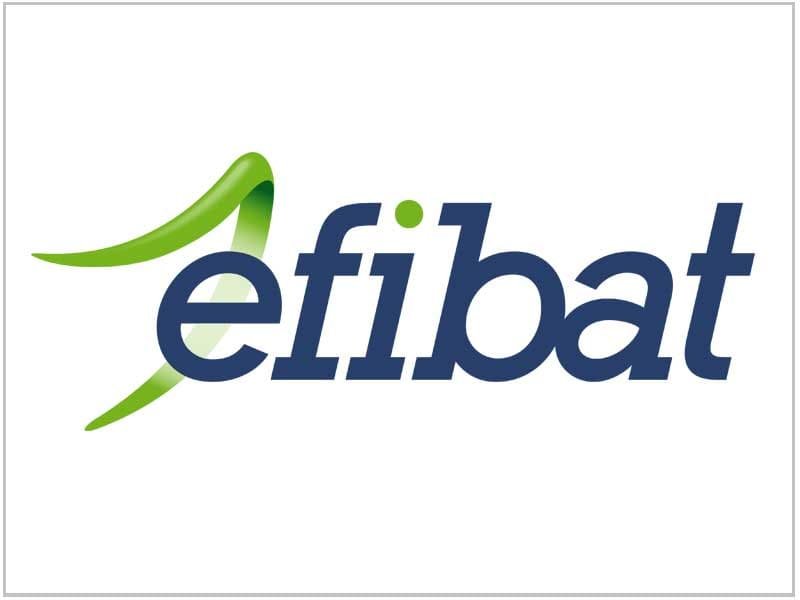 Efibat